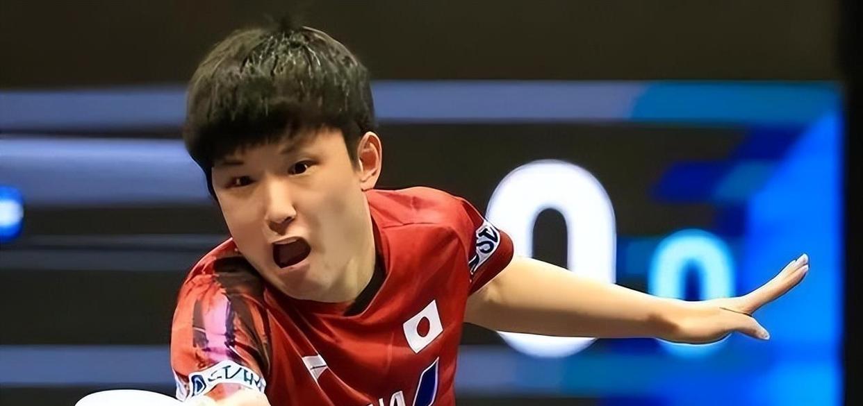 九游娱乐-法国队逆转日本队,张本智和状态火热