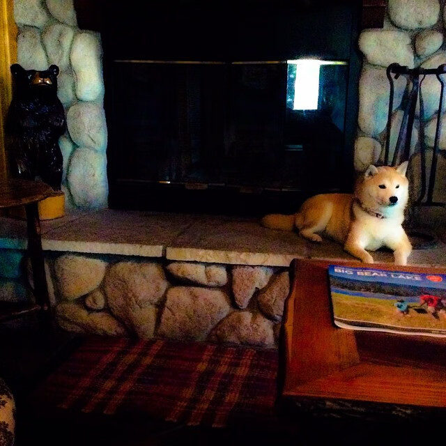 九游娱乐网站-伊斯坦布尔奇迹再现?加克波土耳其式粉碎德国,西决生死战上演王者接管